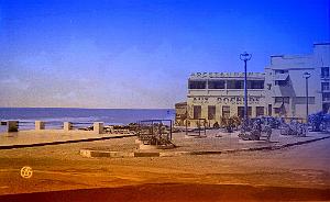 Mostaganem 514- Salamandre